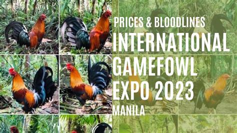 gamefowl lunar calendar 2023|International Gamefowl Expo 2023 .